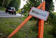 Wildunfall - Susann Prautsch/dpa