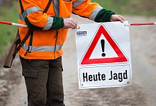 Jagd auf Wildschweine - dpa