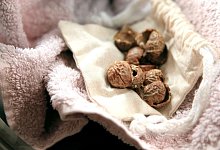 Waschn&uuml;sse - Bodo Marks/dpa-tmn