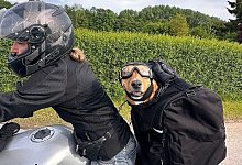 dusty-shorty - 1 - 1 - Bildrechte: Dusty Wenk