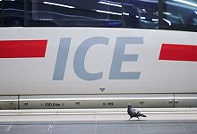 ICE - Foto: Annette Riedl/dpa