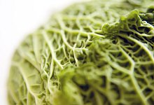 Wirsingkopf - Foto: Andrea Warnecke/dpa-tmn