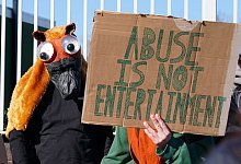 Protest - Peter Byrne/PA Wire/dpa