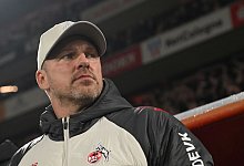 Lukas Kwasniok - Federico Gambarini/dpa