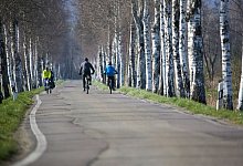 Radfahrer - Thomas Warnack/dpa