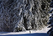 Schnee - Karl-Josef Hildenbrand/dpa