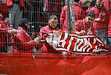 FC Energie Cottbus - RB Leipzig - Robert Michael/dpa