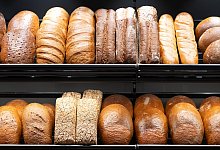 Fachmesse „Sachsenback“ - Sebastian Kahnert/dpa