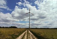 img_20250619_153206_164 - 1 - Jens Rademacher