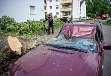 790 Millionen Euro Extremwetter-Sch&auml;den in NRW - Lino Mirgeler/dpa