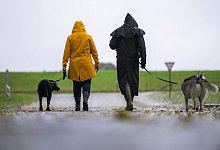 Gassigehen bei Sturm - Mohssen Assanimoghaddam/dpa/dpa-tmn