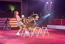 fb_img_1743700471607 - Circus Barum