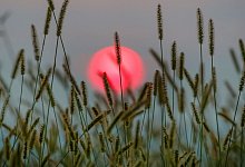 Wetter - Thomas Warnack/dpa