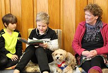 Projekt Lesehund an der Grundschule Bösingfeld - Lorraine Brinkmann