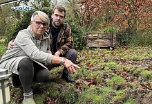 wildschweine - 1 - 1 - Sandra Castrup