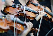 Geigerinnen - Foto: Jens Kalaene/dpa-Zentralbild/dpa