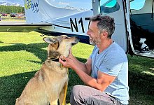 Iditarod-Schlittenhund - Foto: -/Regal Air/dpa