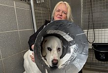 kostja - 1 - Sven Kienscherf