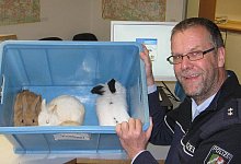 Die Polizei sucht nach dem Besitzer, der die Kaninchen in Porta ausgesetzt hat. - Foto: Polizei