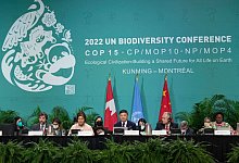 Weltnaturgipfel in Montreal - Ryan Remiorz/The Canadian Press/AP/dpa