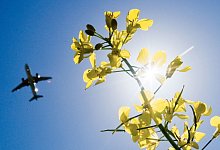 Klimaschutz - Foto: Julian Stratenschulte