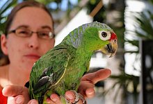 Manuela Busse - Yvonne Glandien