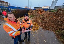 dscf0733 - Andreas Zobe