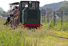 106942 - Martin Holtappels