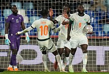 Afrika-Cup - Gabun - Elfenbeink&uuml;ste - Themba Hadebe/AP/dpa