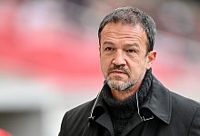 Fredi Bobic - Harry Langer/dpa