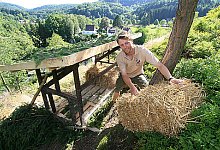 Im Winter den V&ouml;geln helfen - DETMOLd