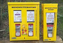 Bienenrettung - Foto: Sebastian Everding/Everding/dpa