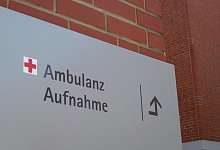 102073720 - picture alliance / Horst Galuschka/dpa