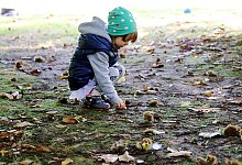 Sammelleidenschaft von Kindern - picture alliance / Mascha Brichta/dpa-tmn