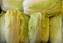 Chinakohl auf dem Wochenmarkt - Holger Hollemann/dpa