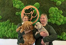 img_8862 - Jan Schillmann