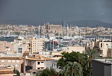 Mallorcas Hauptstadt Palma - Clara Margais/dpa