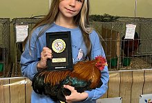 Geflügelzucht - 1 - Rassegeflügelschau in Lügde