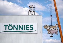 T&ouml;nnies baut Tierlogo auf der Firmenzentrale ab - dpa