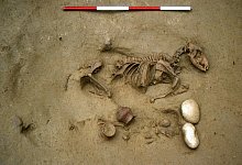 Bestattung - S.R.Thompson/Oberaufsichtsbeh&ouml;rden f&uuml;r Arch&auml;ologie, Bildende Kunst und Landschaft SABAP-VR/dpa