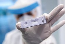 Antigen-Schnelltests - Foto: Sven Hoppe/dpa