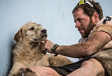 Liebe auf den ersten Blick: Mikael Lindnord teilte ein Hackfleischb&auml;llchen mit dem Streuner &ndash; Arthur folgte ihm daraufhin durch die Wildnis. - Krister G&ouml;ransson/Edel Books