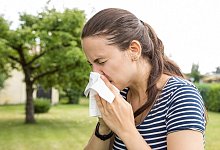 Niesattacke - Foto: Christin Klose/dpa-tmn