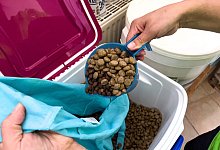 Tierfutterausgabe f&uuml;r Bed&uuml;rftige - Paul Damm/-/dpa