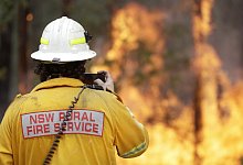 Buschbr&auml;nde - Foto: Rick Rycroft/AP/dpa