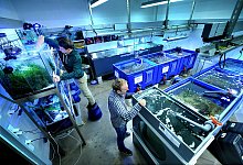 -Fr&uuml;cht- (hp + F) Ausbildung zum Tierpfleger in der Uni + - Andreas Fruecht