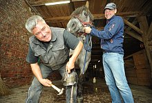 Hufschmied - Nicole Ellerbrake