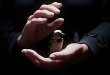 Kurzfilm «A Sparrow's Song» - -/Filmakademie Baden-Württemberg/dpa