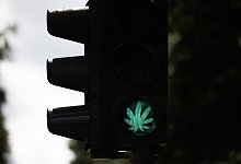 Cannabis-Blatt auf Ampel - Rolf Vennenbernd/dpa