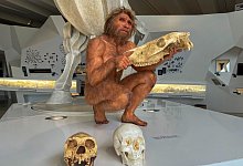 Homo heidelbergensis im Forschungsmuseum «paläon» - Ralf Johnen/dpa-tmn